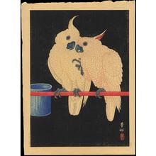 Shoson Ohara: Two White Cockatoos on Red Bar- B - Japanese Art Open Database
