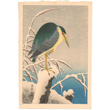 Shoson Ohara: Unknown bird - Japanese Art Open Database