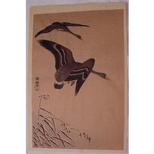 Shoson Ohara: geese flying - Japanese Art Open Database