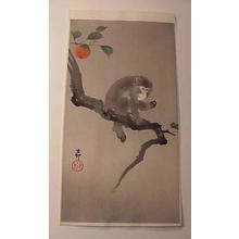 Shoson Ohara: monkey in the persimmon tree - Japanese Art Open Database