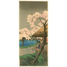 Shotei Takahashi: Cherry Blossoms at Sumida Bank in Rain - Japanese Art Open Database