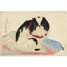 Shotei Takahashi: Pug on a Cushion - Japanese Art Open Database