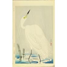 Nakamura Shundei: Little Egret — 小鷺 - Japanese Art Open Database