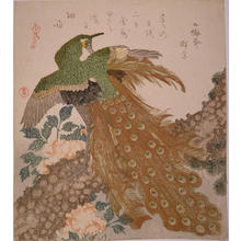 窪俊満: Peacock and Penoies — 牡丹に孔雀 - Japanese Art Open Database