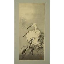 Shurei: Two Egrets - Japanese Art Open Database