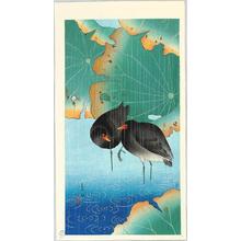 Soseki Komori: Gallinule- moorhen - Japanese Art Open Database