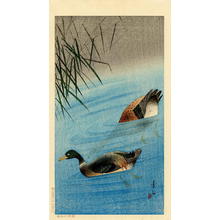 Soseki Komori: Mallard Ducks - Japanese Art Open Database