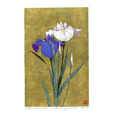 Sugiura Kazutoshi: Iris No 46 — 花菖蒲 No 46 - Japanese Art Open Database