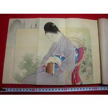 Mizuno Toshikata: Bijin and Book - Japanese Art Open Database