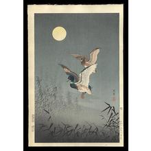 風光礼讃: Ducks — 鴨 - Japanese Art Open Database