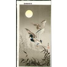 風光礼讃: Ducks - Japanese Art Open Database