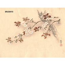 Tsuchiya Koitsu: Floral - Japanese Art Open Database