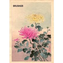 Tsuchiya Koitsu: Floral, Chrystanthemums - Japanese Art Open Database