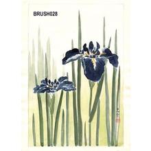 風光礼讃: Floral, Irises - Japanese Art Open Database