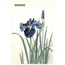 Tsuchiya Koitsu: Floral, Irises - Japanese Art Open Database