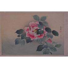 風光礼讃: Floral print- Flower - Japanese Art Open Database