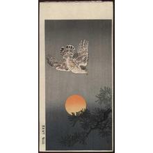 風光礼讃: Goshawk - Japanese Art Open Database