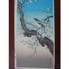 Tsuchiya Koitsu: Plum Nightingale - Japanese Art Open Database