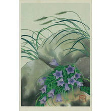 Unknown: Bell Flowers - Japanese Art Open Database