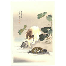 Unknown: Cat and frog - Japanese Art Open Database