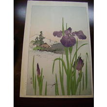Unknown: Iris and Mt Fuji - Japanese Art Open Database