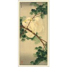 Unknown: Maple and Cockatoo - Japanese Art Open Database