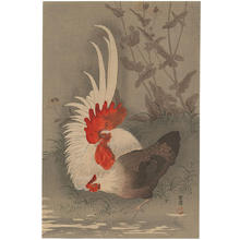 Untan: Rooster and Hen - Japanese Art Open Database