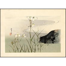 Watanabe Seitei: Bamboo in the Water - Japanese Art Open Database