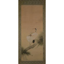 Watanabe Seitei: Two Cranes on a Pine Tree - Japanese Art Open Database