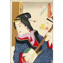 Tsukioka Yoshitoshi: Enjoying - Japanese Art Open Database