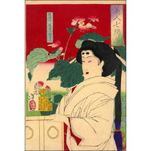 Tsukioka Yoshitoshi: Madenokouji Sachiko — 従四位萬里小路幸子 - Japanese Art Open Database
