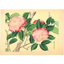 Zuigetsu Ikeda: Tsubaki - Camellia - Japanese Art Open Database