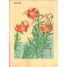 Zuigetsu Ikeda: Tiger lilies - Japanese Art Open Database