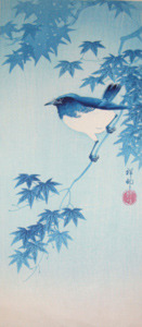 Shoson: Blue Robin on Maple branch - Ronin Gallery