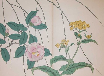 酒井抱一: Nanohana, Camellia and Weeping Willow - Ronin Gallery
