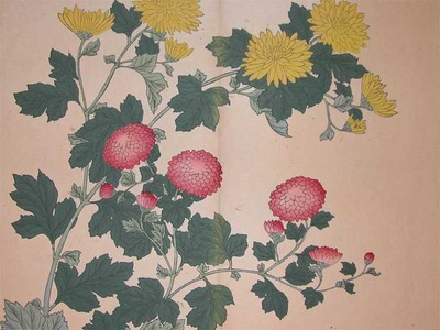 酒井抱一: Yellow and Red Chrysanthemums - Ronin Gallery