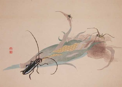 Watanabe Shotei: A beatle and spiders on a corn cob - Ronin Gallery
