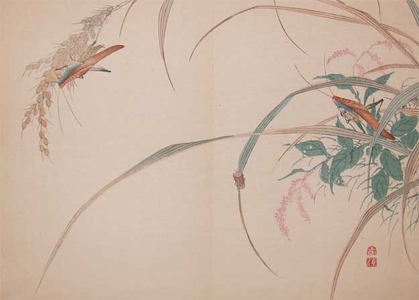 Watanabe Shotei: Cone Headed Grass Hoppers and a Gold Beatle - Ronin Gallery
