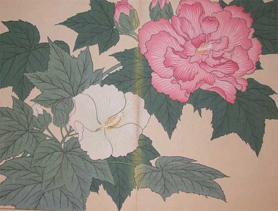 酒井抱一: Pink and White Cotton Roses - Ronin Gallery