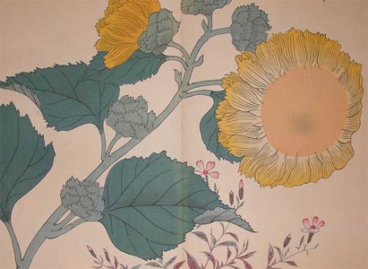 酒井抱一: Sunflower and Japanese Primrose - Ronin Gallery