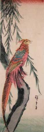 Japanese Print "Pheasant" by Suzuki Hiroshige (Hiroshige)