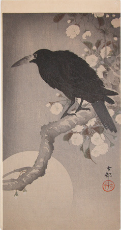 Koson: Jungle Crow on a Cherry Branch on a Moonlit Night - Ronin Gallery