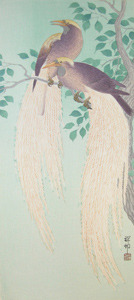 Shoson: Birds of Paradise - Ronin Gallery