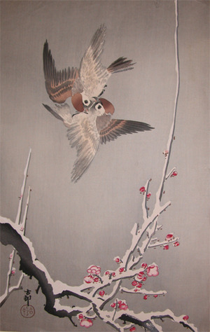 Koson: Sparrows Above Snow Covered Plum Tree - Ronin Gallery