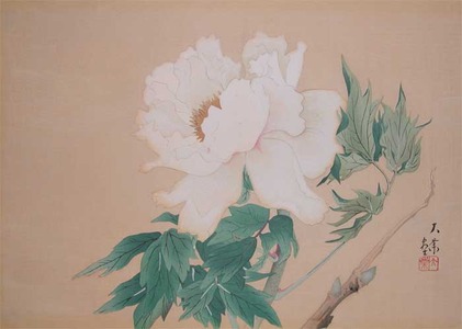 Daigo: Peony - Ronin Gallery