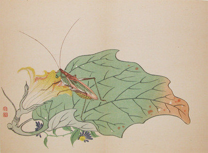Shunkei: Locust on Pumpkin Flower - Ronin Gallery