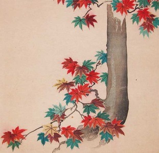 Unknown: Maple Tree - Ronin Gallery