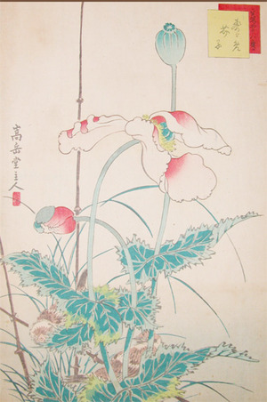 Sugakudo: Sparrows and Poppies - Ronin Gallery