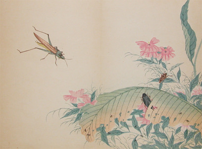Shunkei: Katydid and Ants - Ronin Gallery
