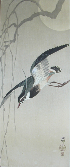 Koson: Lapwing, Willow and Full Moon - Ronin Gallery